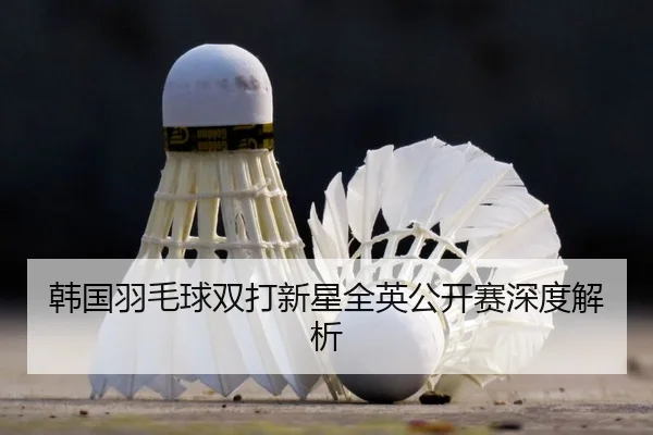 han-guo-yu-mao-qiu-shuang-da-xin-xing-quan-ying-gong-kai-sai-shen-du-jie-xi-2-998.jpg